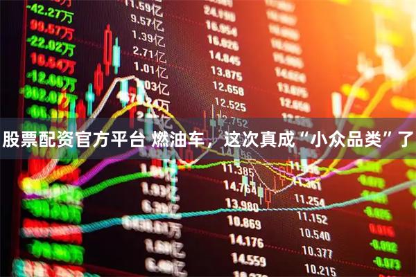 股票配资官方平台 燃油车，这次真成“小众品类”了